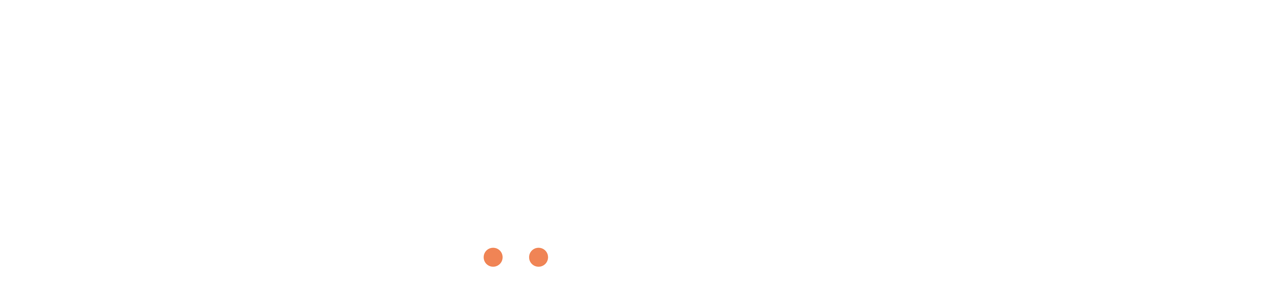 logo Velok